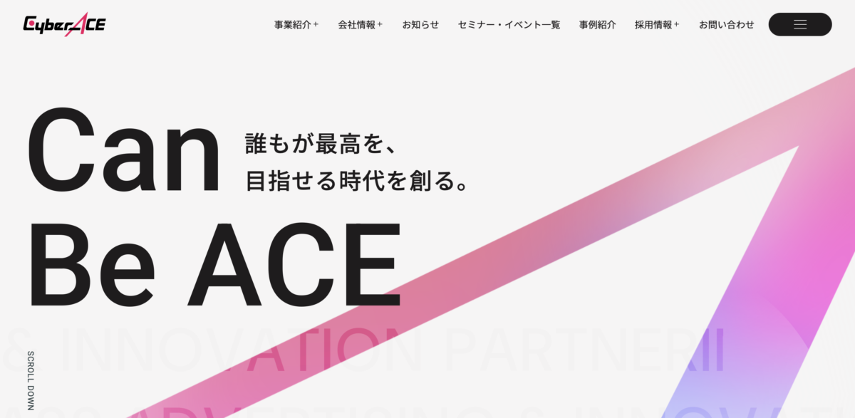 株式会社CyberACE
