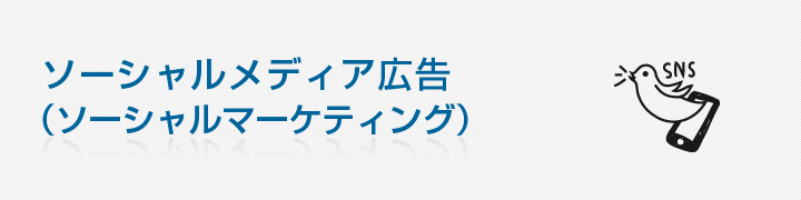 ソーシャルメディア広告