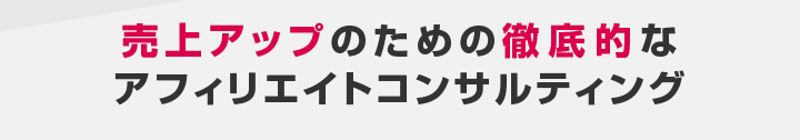 売上アップのための徹底的なアフィリエイトコンサルティング