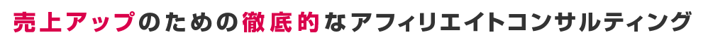 売上アップのための徹底的なアフィリエイトコンサルティング